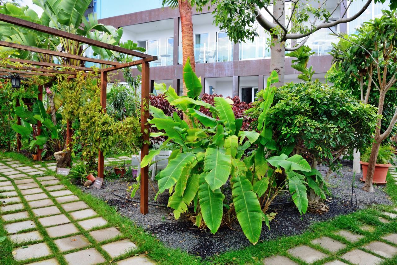 Apartamentos Adjovimar 로스 야노스 데 아리다네 외부 사진